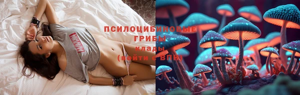 mdpv Инсар