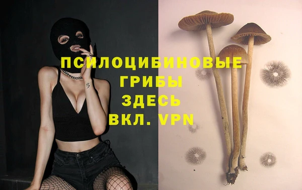гашишное масло Инта