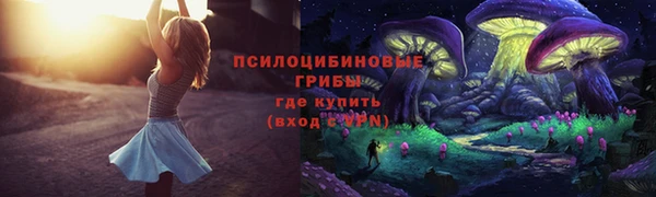 mdpv Инсар