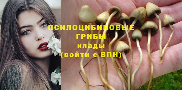 трава Иннополис